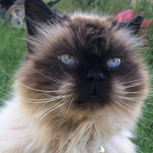 Meet your Posher, Aurora